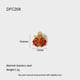 DFC208 Bild6