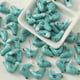 turquoise Picture2