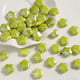 Light green cream flowers Picture40