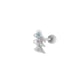 2# Silber Bild3