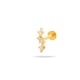 0169-7#Gold Picture8