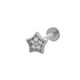 037 – Silber Bild15