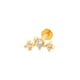 0159-9#Golden Picture8