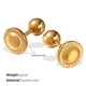 EH1005G Piercing Gold Earrings