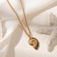 Muschelschale Bild7