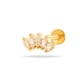 0169-8#Gold Picture6