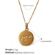 XL444WEG8 Virgo gold necklace Picture8