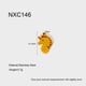 NXC146 Picture21