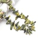 Gelbkiefer Bild8