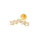 0159-2#Golden Picture22