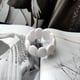 E White Picture5