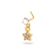443-Gold Picture16