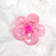Rosa 7,5cm Bild2