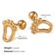 EH1010G Piercing Gold Earrings Picture6