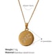 XL444WEG11 Sagittarius gold necklace Picture11