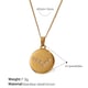 XL444WEG2 Pisces gold necklace Picture2