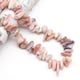 Rosa Opal Bild4