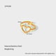 DFR299 Bild7
