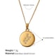 XL444WEG10 Scorpio gold necklace Picture10