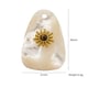 White Shell 1 Picture5