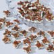 Butterfly (12×17mm) Picture30