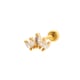 gold Picture2