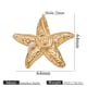 Golden sea star 