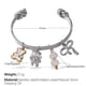 SZ274SB Silberarmband mit mehreren Elementen Bild2