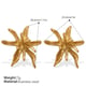 EH1157G Gold Earrings