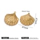 Golden Shell Picture8