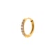 952-Gold Picture2