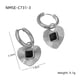 NMSE-C731-3 Steel color line earrings Picture16