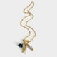 Golden Blueberry Picture2