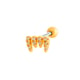 017 - Gold Picture10