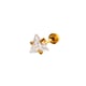 5MM Picture6