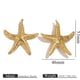 Large golden starfish Picture5