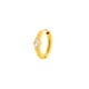 983 - Gold Picture12