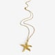 Golden starfish Picture3