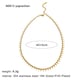 Pressed Chain Necklace Picture2