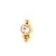 707-Gold Picture9
