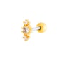 035 - Gold Picture11