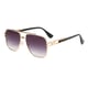 C2 Bright Gold/Gradual Black Gray Picture2