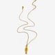 Golden striped fish Picture3