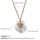 XL535-PJ572WES White Shell Necklace Picture12