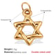 PJ561G Gold Pendant Picture4
