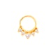 Gold 5# Picture12