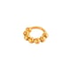 011-Gold Bild6