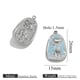 Z2647S8-1pcs Picture14
