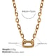 XL706G gold necklace Picture32