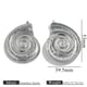 Steel-colored conch Picture4